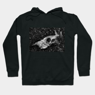 Dead cow bnw skull Hoodie